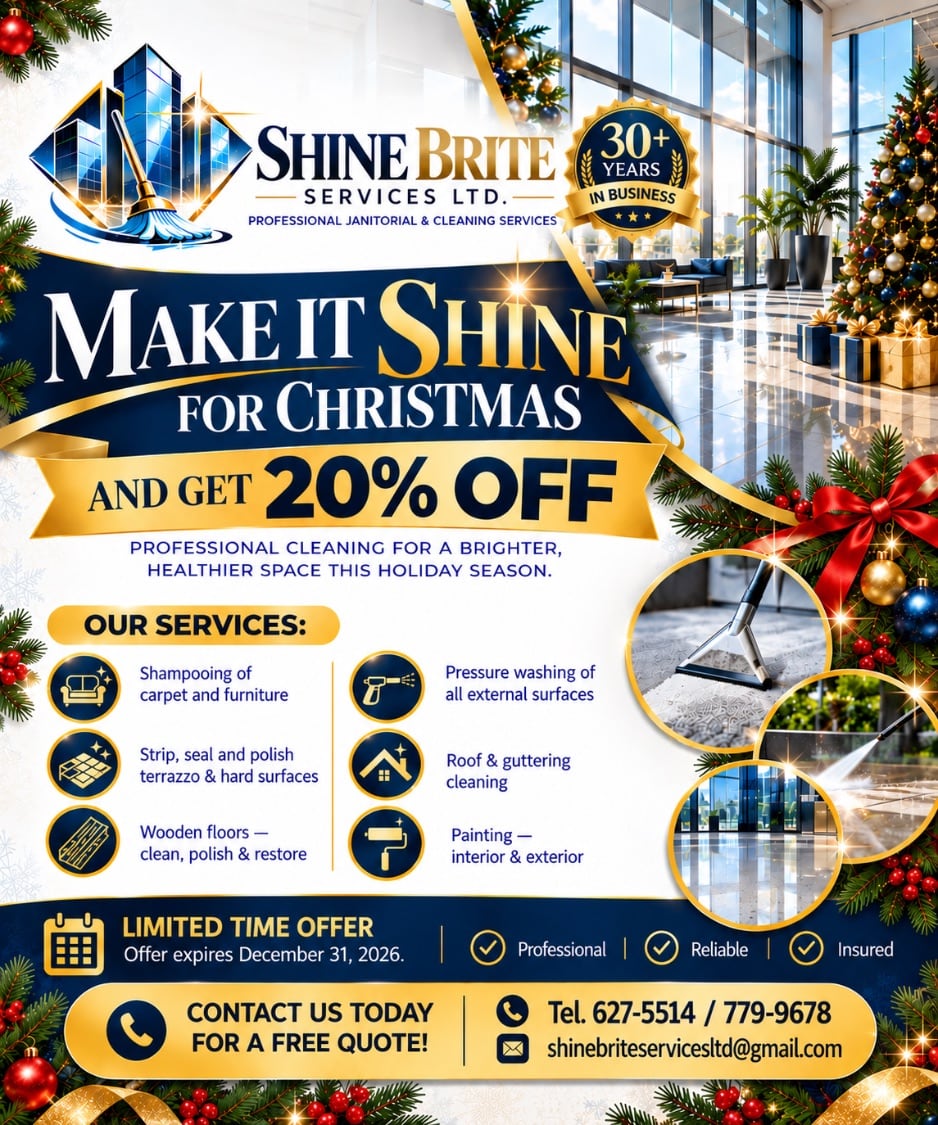 Shine Brite Christmas flyer: Make it shine for Christmas and get 20% off. Offer expires December 31, 2026.